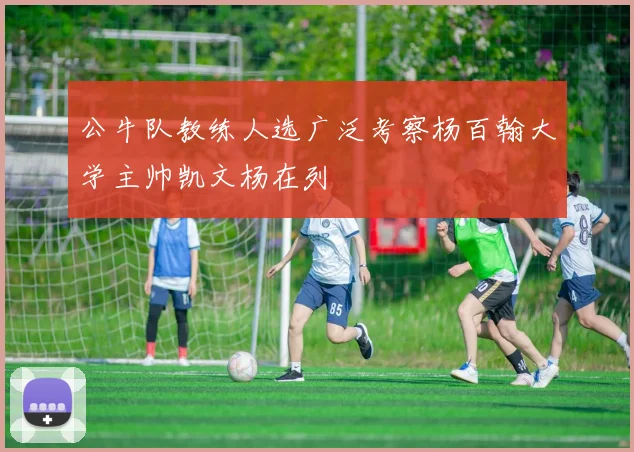 公牛队教练人选广泛考察杨百翰大学主帅凯文杨在列